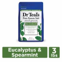 Dr Teal's® Relax & Relief Eucalyptus & Spearmint Pure Epsom Salt Bath Soak