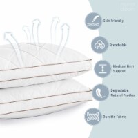Natural Goose Feather and Down Sleeping 100% Cotton Pillow Cover Downproof Gusseted 2 Count