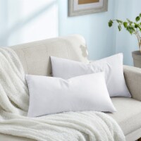 2 Pack Feather Down Throw Pillow Insert