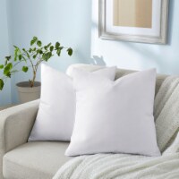 2 Pack Feather Down Throw Pillow Insert