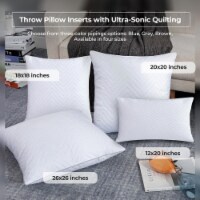 2-Pack Feather Throw Pillow Inserts Ultrasonic Quilting