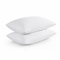 2 Pack Goose Feather Pillow Queen Perspective: Main