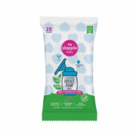 Dapple Plant Based Breast Pump Wipes Perspective: Main