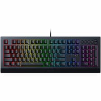 Razer Cynosa V2 Gaming Keyboard Perspective: Main
