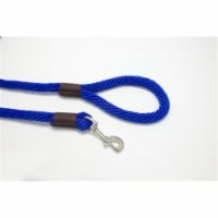 Purple Pebble LZ584BL 4 ft. x 0.62 in. Leedz Super Thick Blue Leash