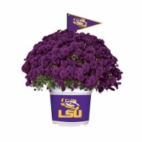 Flowers Floral Arrangements Kroger