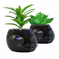 Baltimore Ravens Team Pride Mini Faux Succulents in Ceramic Helmet Planters