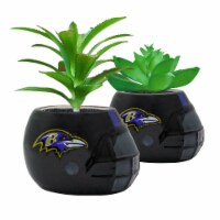 Baltimore Ravens Team Pride Mini Faux Succulents in Ceramic Helmet Planters