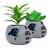 NFL Carolina Panthers Team Pride Mini Faux Succulents in Ceramic Helmet Planters