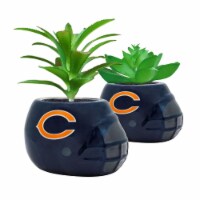 NFL Chicago Bears Team Pride Mini Faux Succulents in Ceramic Helmet Planters