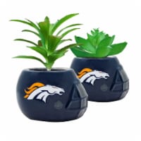 NFL Denver Broncos Team Pride Mini Faux Succulents in Ceramic Helmet Planters