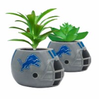 NFL Detroit Lions Team Pride Mini Faux Succulents in Ceramic Helmet Planters