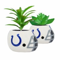 NFL Indianapolis Colts Team Pride Mini Faux Succulents in Ceramic Helmet Planters
