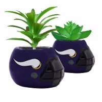 NFL Minnesota Vikings Team Pride Mini Faux Succulents in Ceramic Helmet Planters