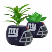 NFL New York Giants Team Pride Mini Faux Succulents in Ceramic Helmet Planters