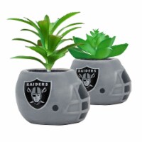 NFL Las Vegas Raiders Team Pride Mini Faux Succulents in Ceramic Helmet Planters