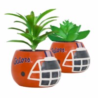 Florida Gators Team Pride Mini Faux Succulents in Ceramic Helmet Planters