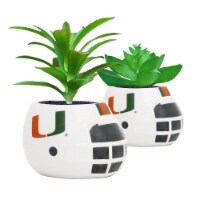 Miami Hurricanes Team Pride Mini Faux Succulents in Ceramic Helmet Planters