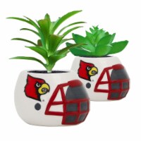 Louisville Cardinals Team Pride Mini Faux Succulents in Ceramic Helmet Planters