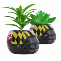 Maryland Terrapins Team Pride Mini Faux Succulents in Ceramic Helmet Planters