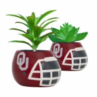 Oklahoma Sooners Team Pride Mini Faux Succulents in Ceramic Helmet Planters