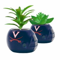 Virginia Cavaliers Team Pride Mini Faux Succulents in Ceramic Helmet Planters