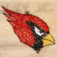 Arizona Cardinals Team Pride String Art Craft Kit