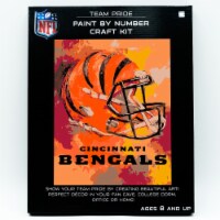 NFL Cincinnati Bengals Team Pride Paint by Number Craft Kit
