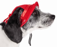 Pet Life HT10RDMD Sea Spot Sun UV Protectant Adjustable Fashion Mesh Brimmed Dog Hat Cap, Red