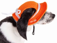 Pet Life HT10ORLG Sea Spot Sun UV Protectant Adjustable Fashion Mesh Brimmed Dog Hat Cap, Ora