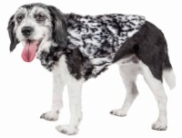 Pet Life Luxe Paw Dropping Designer Gray-Scale Tiger Pattern Mink Fur Dog Coat Jacket