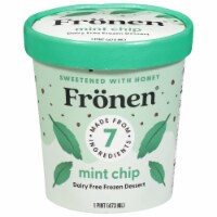 Fronen Dairy Free Mint Chip Frozen Dessert Pint Perspective: Main