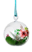 LiveTrends Loving Touch Hanging Glass Globe Terrarium Perspective: Main
