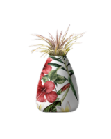 Hardy Tillandsia Potted Plant Perspective: Main