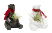 Holiday Bear Air Planter Succulent Perspective: Main