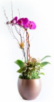 LiveTrends Bronze Orchid Garden (Approximate delivery is 2-5 days) Perspective: Main