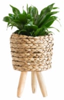 LiveTrends Dracena Small Woven Basket