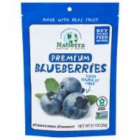 Natierra® Premium Freeze-Dried Blueberries Perspective: Main