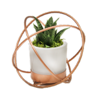 Copper Vortex Potted Plant