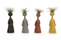 Thinkers Potted Succulents Perspective: Main