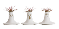 LiveTrends The Scream Porcelan Potted Tillandsia Plants Perspective: Main