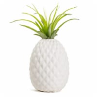 LiveTrends Pineapple Planter Perspective: Main