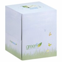 Green2 Treeless Facial Tissue Perspective: Main