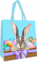 Patty Reed Designs Bunny in Basket Happy Sack Perspective: Main