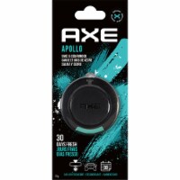 Axe Apollo Sage & Cedarwood Car Air Freshener Perspective: Main