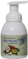 Blue Mound Coconut & Lime Foaming Hand Soap Perspective: Main