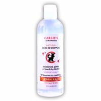 Scoochie Pet Products 121 16 oz Oatmeal & Aloe Shampoo