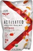 Living Intentions Organic Activated Spicy Mango Sprouted Trail Mix