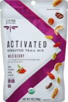 Living Intentions Activated Sprouted Wild Berry Trail Mix