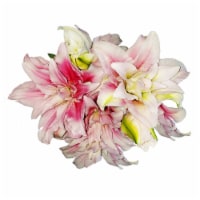 Rose Lily 2 Stem